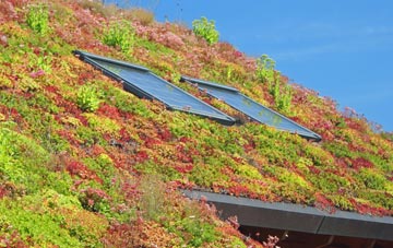 Houndslow living roof systems